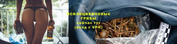 прущий лед Киреевск