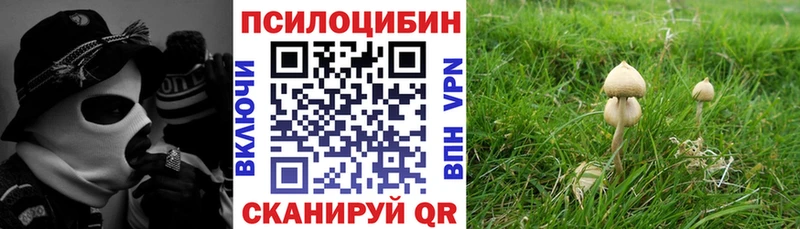 Купить закладки  Белово  Псилоцибиновые грибы мухоморы 